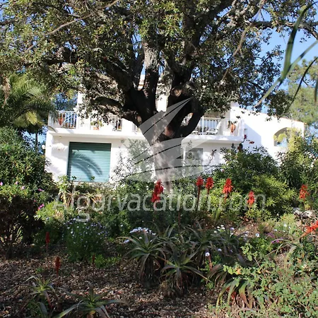 Casa Andorinha *